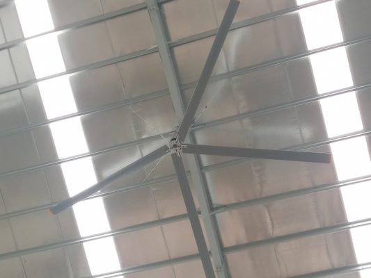 Quạt trần sải cánh lớn là gì? 1 quạt trần sải cánh lớn