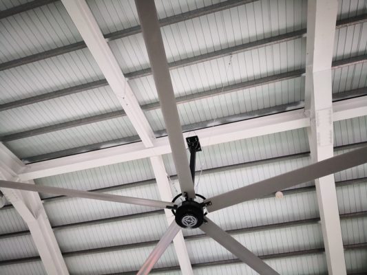 VÌ SAO NÊN SỬ DỤNG QUẠT TRẦN CÔNG NGHIỆP HVLS TRONG CÁC TRANG TRẠI 3 quạt trần công nghiệp